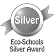 Eco-Schools silver award